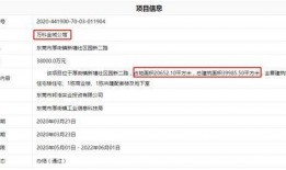 爆料最新项目是什么意思