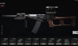 暗区突围最新枪皮爆料,神秘设计引玩家热议