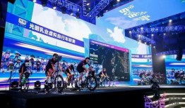 虚拟体育最新爆料,最新爆料揭示未来运动盛宴