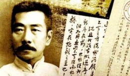 鲁迅最新爆料视频播放大全,揭秘历史真相与时代风云