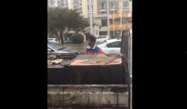 网友在四平最新爆料,揭秘城市变迁背后的故事