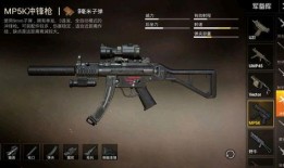 和平精英最新枪爆料,神秘性能枪械即将加入战场