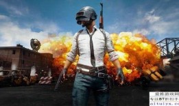 电脑吃鸡最新爆料,全新玩法与优化，带你领略极致射击体验