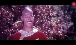 少林高手爆料视频最新,独家爆料视频背后的武林传奇