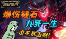 最新赏金爆料视频大全在线观看