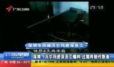 猫哥员工爆料视频大全最新,揭秘职场真相与幕后故事