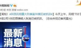 凤翔酒厂爆料案件最新,揭开行业黑幕，探寻真相与正义”