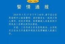 河北最新事件爆料新闻,揭秘XX真相，引发社会广泛关注