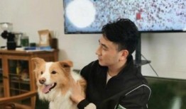 林生斌最新爆料神经病,揭开神经病背后的惊人真相