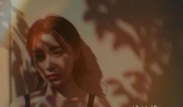 shame最新爆料,揭秘娱乐圈惊人内幕