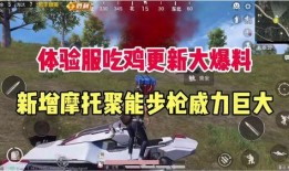 最新爆料吃鸡,神秘内幕大公开！