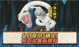 帕克技能最新爆料图片高清