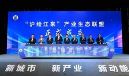 爆料盛泽新闻报道最新视频,视频揭露惊人真相