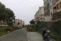 施湾镇房价最新爆料,涨幅惊人，投资潜力无限！