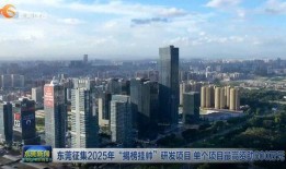 东莞楼市爆料新闻最新,揭秘最新房价走势与热门项目盘点