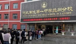 衡水爆料最新消息新闻,重大新闻事件引发社会关注