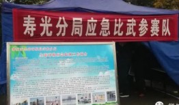 寿光最新爆料新闻视频,视频揭露惊人真相，民众热议！