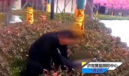 山东开发商爆料事件最新